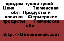 продам тушки гусей › Цена ­ 1 000 - Тюменская обл. Продукты и напитки » Фермерские продукты   . Тюменская обл.